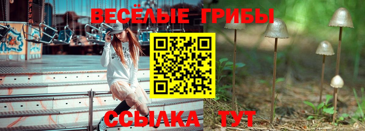 Псилоцибиновые грибы Psilocybe  Псилоцибиновые грибы ЛСД  Владимир  Вход с VPN 